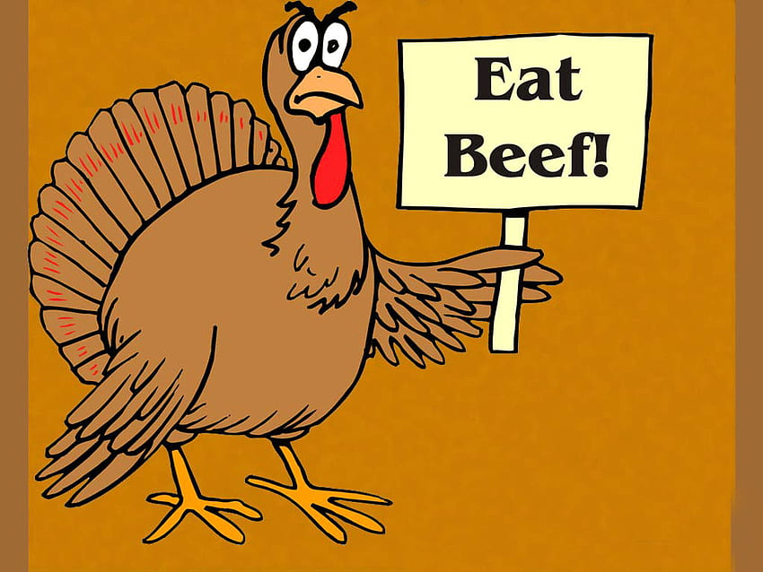 Funny thanksgiving turkey cartoon HD wallpapers | Pxfuel