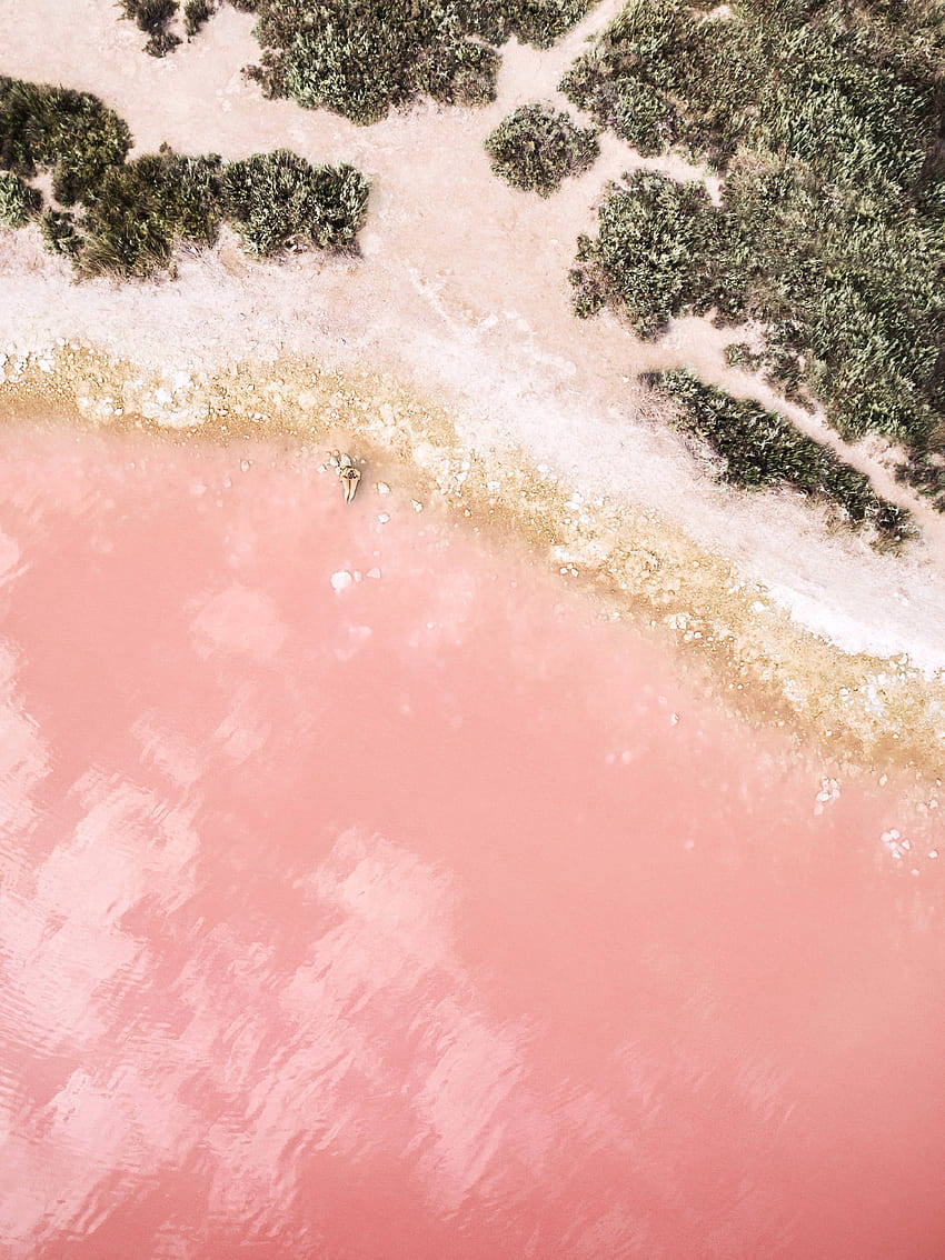 iPad Pro spiaggia rosa Sfondo del telefono HD