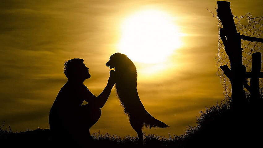 mood, Boy, Dog, Friends, Sun, Sunset, Silhouette, Animals / and Mobile Background, Friends Hugging HD wallpaper