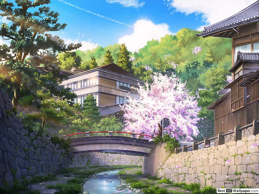Pont Sakura, anime japonais Sakura Fond d'écran HD