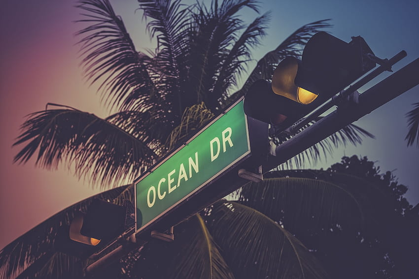 Coconut palm tree against Ocean Drive sign in Miami Beach HD wallpaper