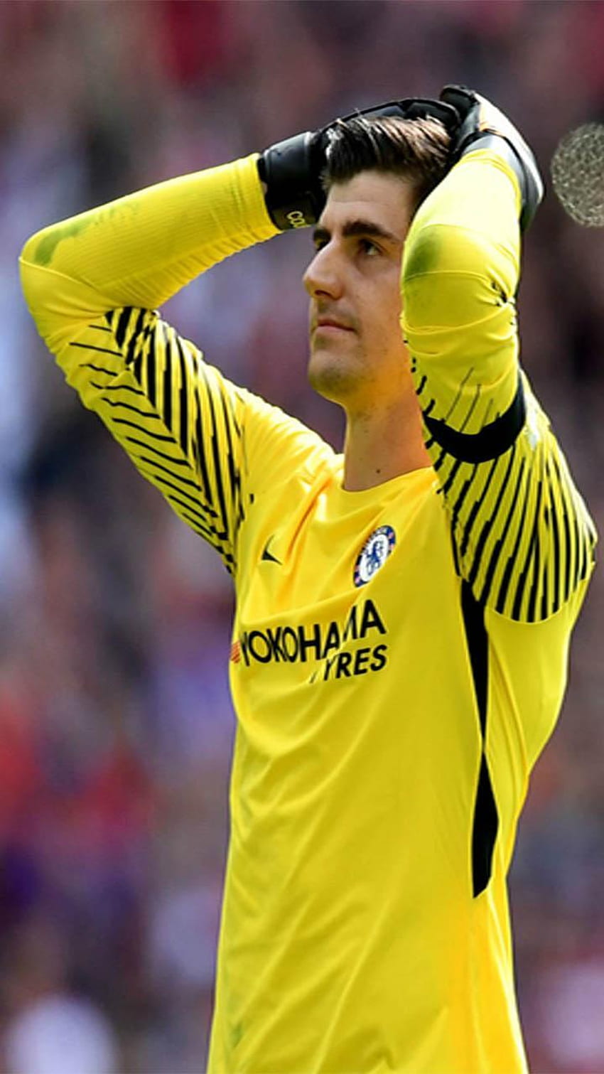 Thibaut Courtois for Android HD phone wallpaper