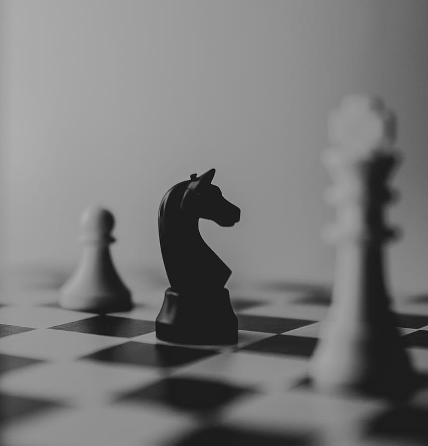 Schach, Schachpferd HD-Handy-Hintergrundbild