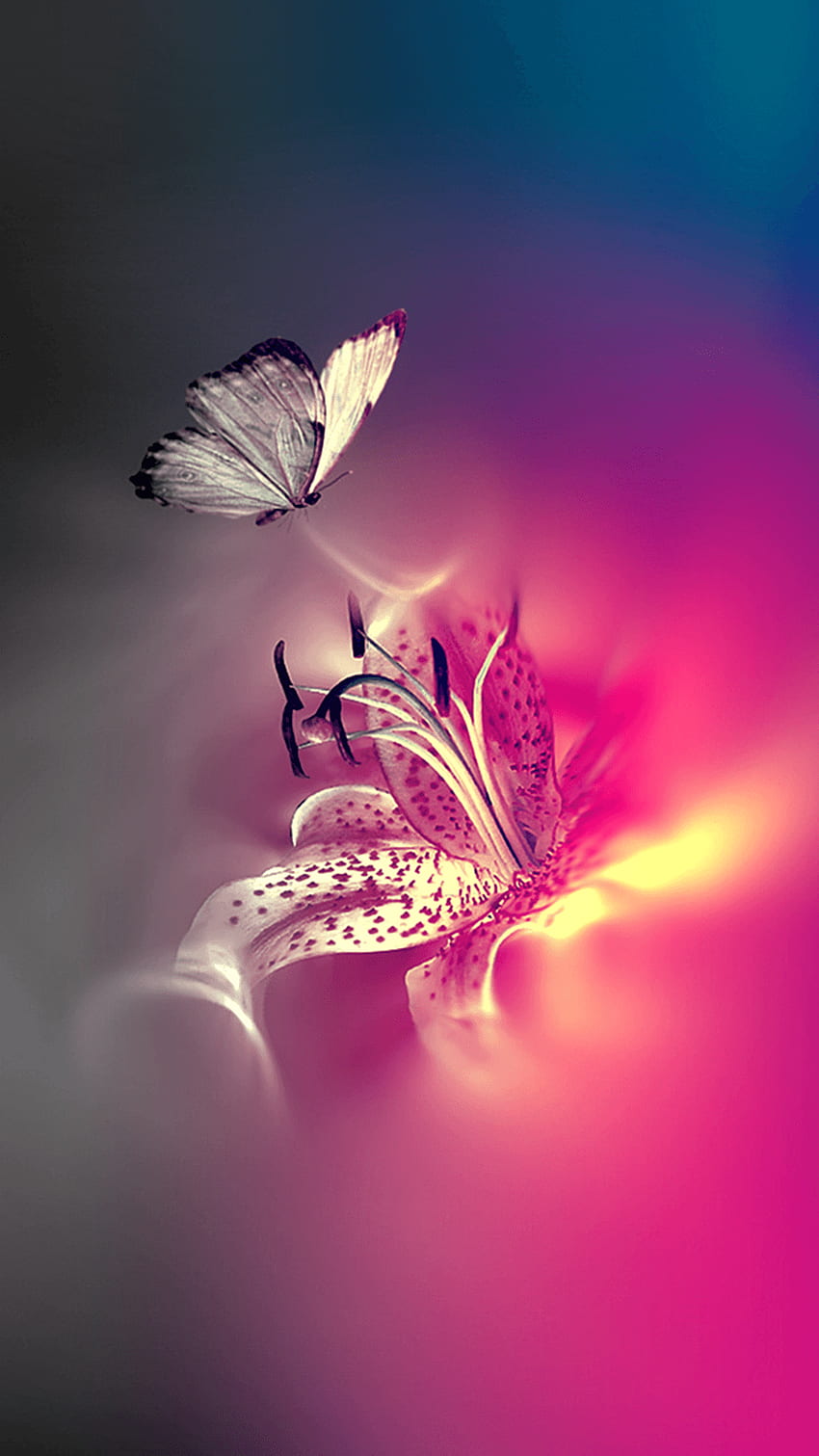 Captivating Light. Nature iphone , Butterfly , Flower HD phone wallpaper |  Pxfuel