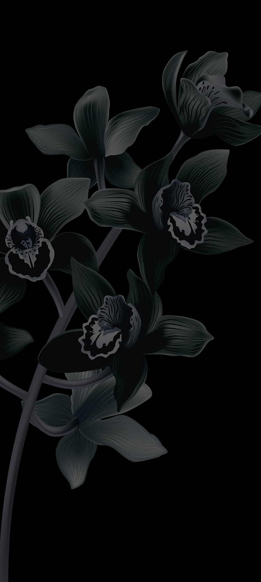 Pixel 6 bloom black, Google, apple, art, petal, dark, anime, Android, terbaru wallpaper ponsel HD