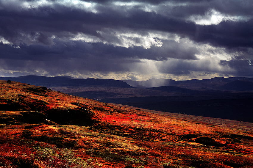 가을의 색 노르웨이, 회색 파랑, 구름, 광선, 빨강 HD 월페이퍼