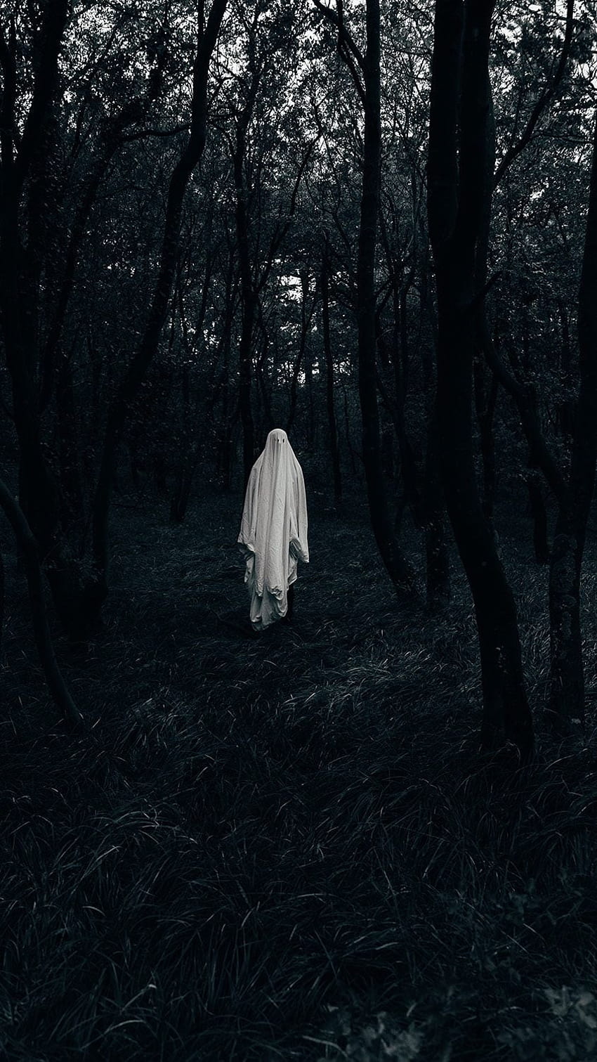 Fantasma, Fantasma Branco Na Floresta, Horror Papel de parede de celular HD