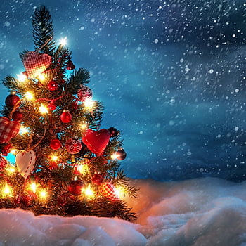 Khám phá màn hình nền Giáng Sinh đầy màu sắc và lộng lẫy, giúp bạn truyền tải không khí lễ hội đầy ấm áp và vui tươi vào ngôi nhà của mình. Hãy khởi động máy tính và tận hưởng những hình ảnh lung linh, cùng những tiếng chuông ngân vang, khiến trái tim bạn đầy hạnh phúc.