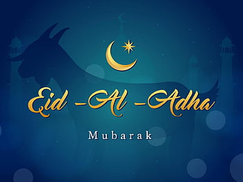 Happy Eid Ul Adha: Eid Mubarak Wishes, Messages, Quotes, , Facebook &  Whatsapp Status Times Of India, Eid al-Fitr HD wallpaper | Pxfuel