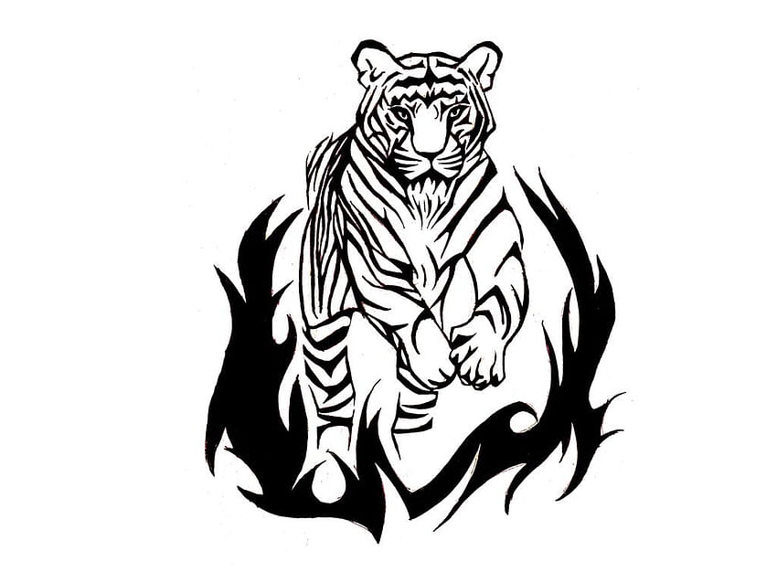 Premium Vector  Black and white tiger tattoo illustration