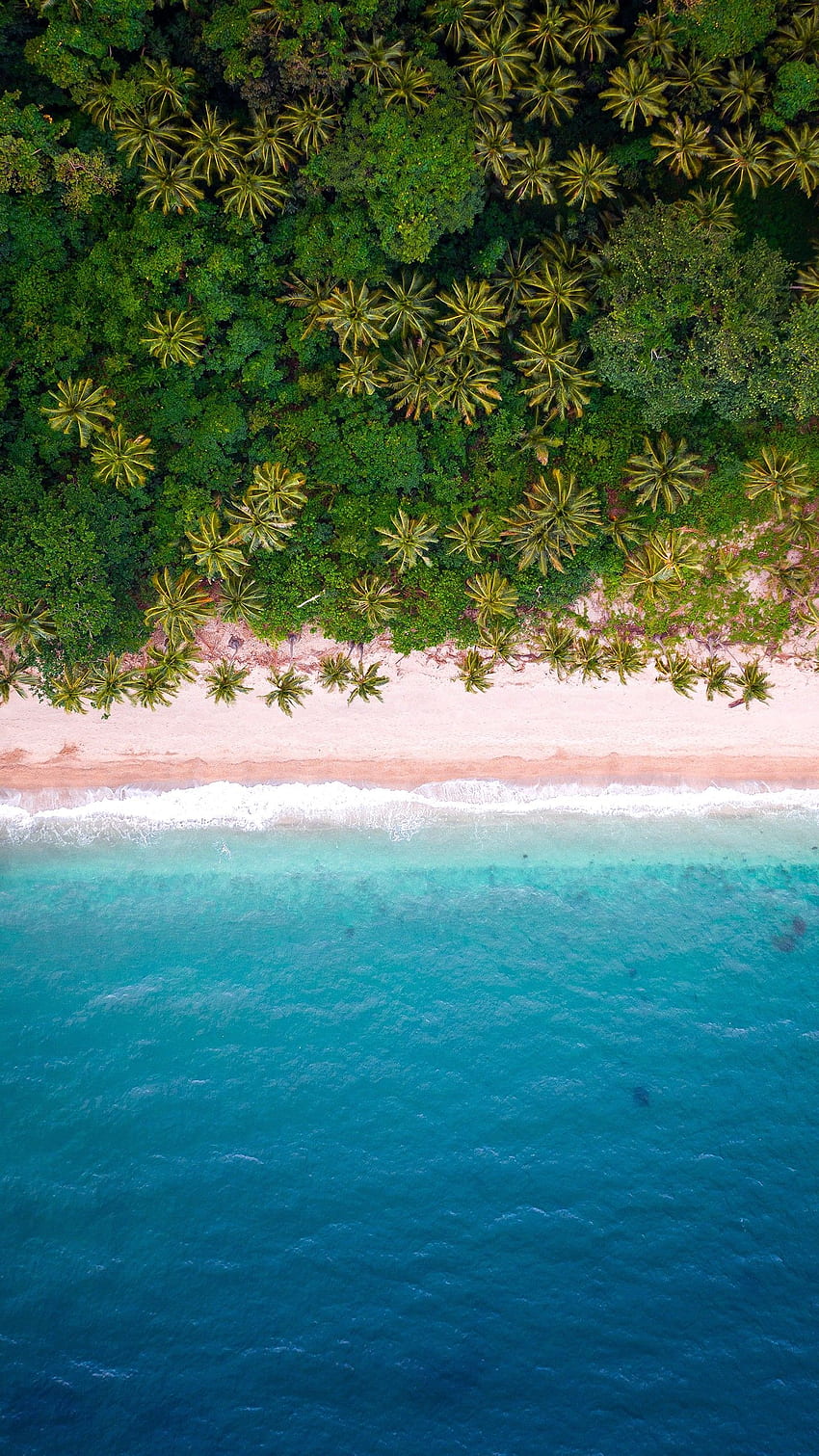 Изглед от въздуха на тропическия плаж, плаж X HD тапет за телефон