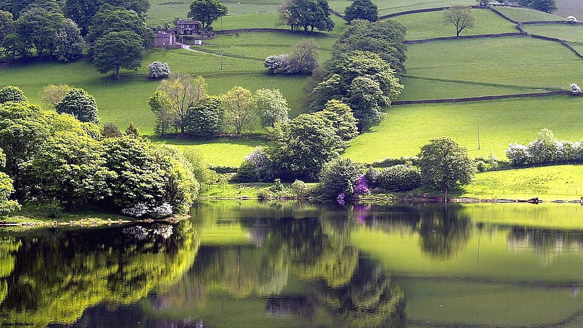 Tranquil Lake Green Meadow Trees Nature Peace Of Mind - HD wallpaper