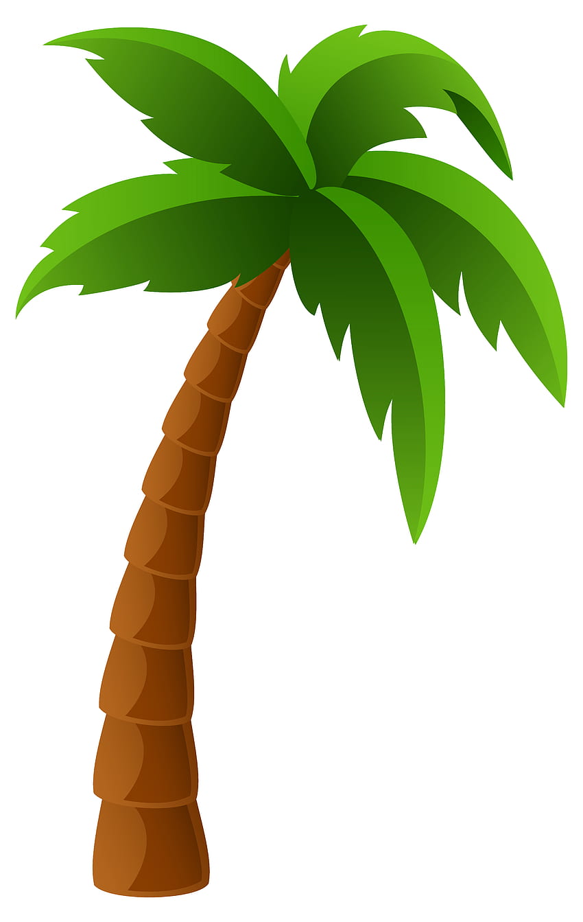 Palm Tree , Earth, HQ Palm Tree . 2019, Cartoon Palm Tree HD phone wallpaper