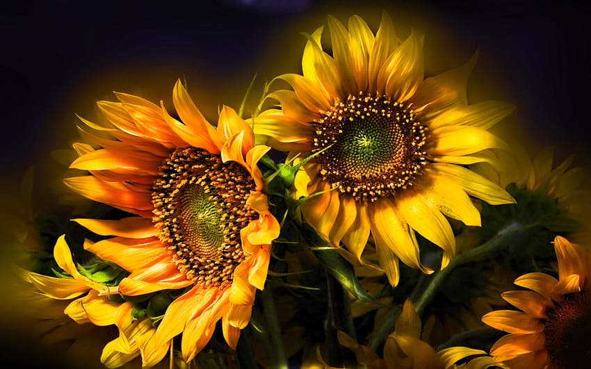 nature, Flowers, Still, Life, Bouquets, Sunflowers, Seed, Thanksgiving Floral HD wallpaper