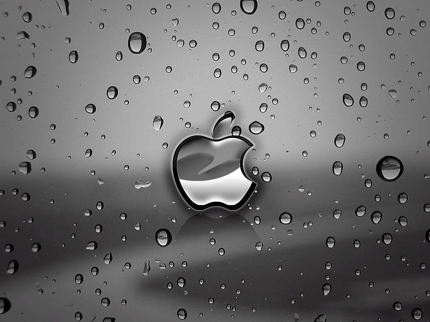 Apple Rain iPad, 2732x2048 วอลล์เปเปอร์ HD