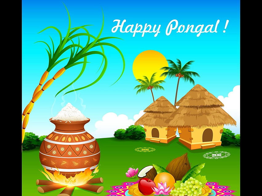 Happy Pongal 2019: Celebs pour in good wishes on Twitter for the fans on the auspicious occasion HD wallpaper