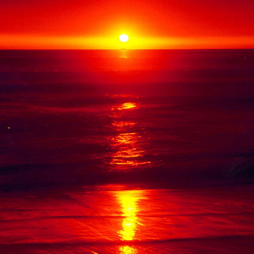 Color Me Red: Color Me Vegan Giveaway Series. Red, Red Sunset HD phone wallpaper