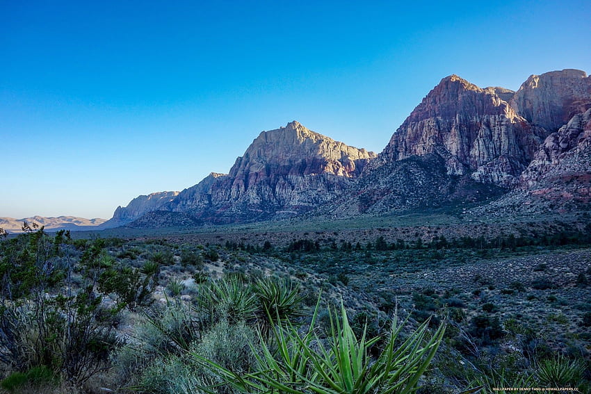 Red Rock Canyon Landscape, Rocky Landscape HD wallpaper