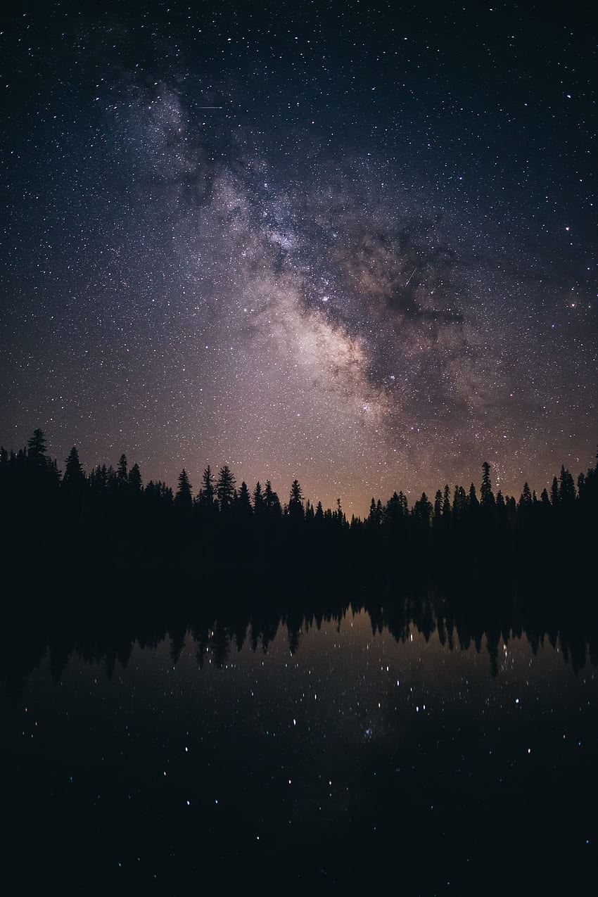 Bäume, Sterne, Nacht, Dunkel, Sternenhimmel, Milchstraße HD-Handy-Hintergrundbild