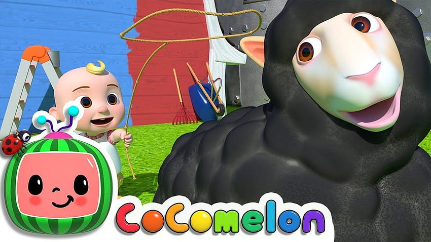 Baa Baa Black Sheep. CoComelon Nursery Rhymes & Kids Songs HD wallpaper |  Pxfuel