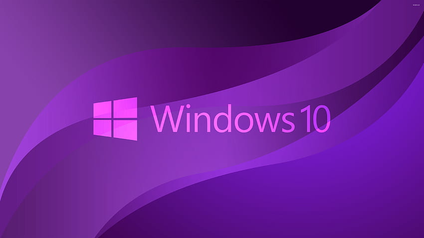 Purple Windows 10 HD wallpaper