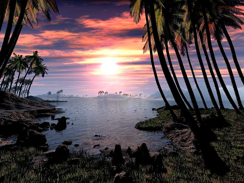 paradis 3d, 3d, coucher de soleil, palmiers, coucher Fond d'écran HD