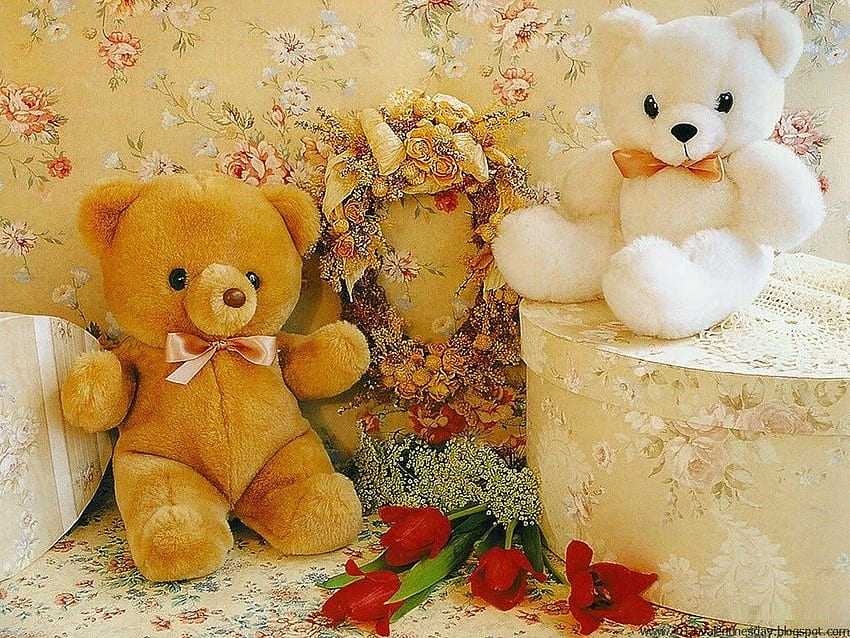 Beautiful Flower For You: Teddy Bear with Flowers HD wallpaper