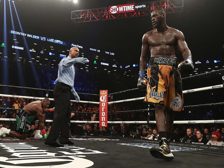 Boxing news: Deontay Wilder, Patrick Day, body on his record HD wallpaper