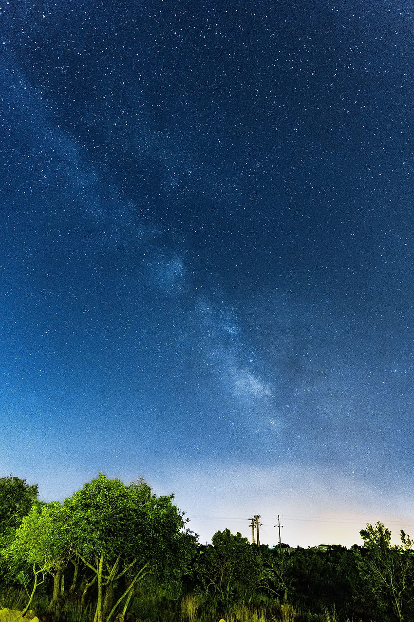Nature, Trees, Stars, Night, Starry Sky, Milky Way HD phone wallpaper