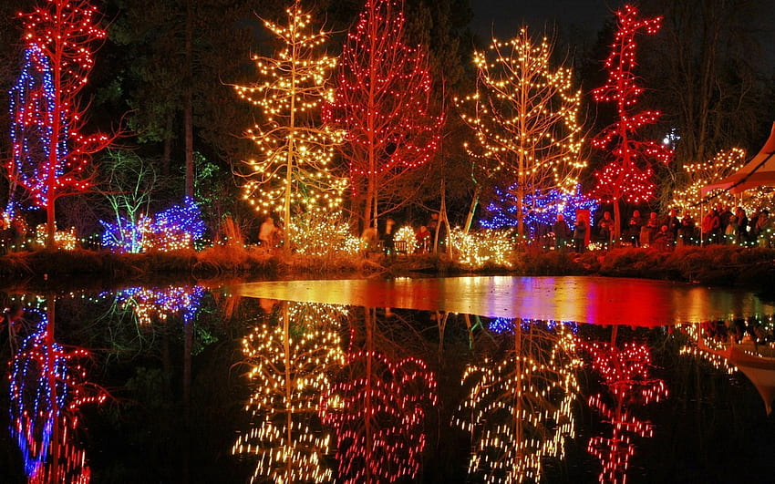 Winter lights on lake, winter, belle, light, various, christmas, beautiful, lovely, lake HD wallpaper