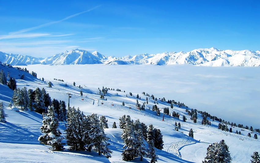 Blaue Schneelandschaft. Blaue Schneelandschaft HD-Hintergrundbild