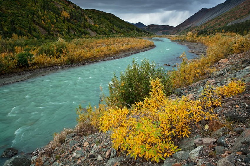 デルタ川の青緑色の水、アラスカ、植物、黄色、風景、雲、秋、山、水 高画質の壁紙