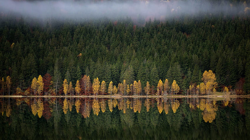 Lanskap Pemandangan Kuning Hijau Merah Daun Musim Gugur Hutan Pepohonan Dengan Refleksi Kabut Di Alam Danau Wallpaper HD