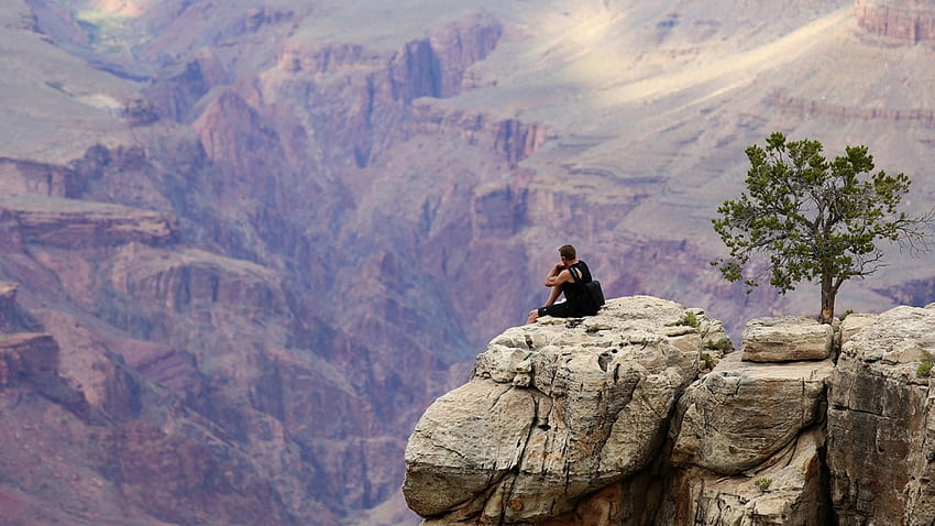 hombre sentado al borde de un cañón, acantilados, cañón, hombre, rocas, árbol fondo de pantalla