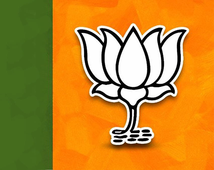 Festa Bharatiya Janata. logotipo do partido, BJP papel de parede HD