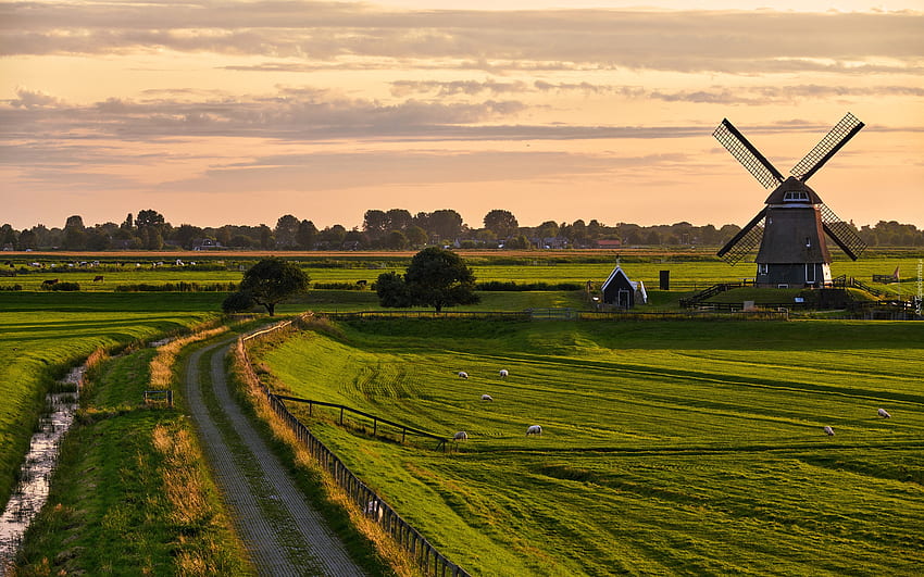 Landscape of Holland, fields, windmill, road, Holland, Netherlands HD wallpaper