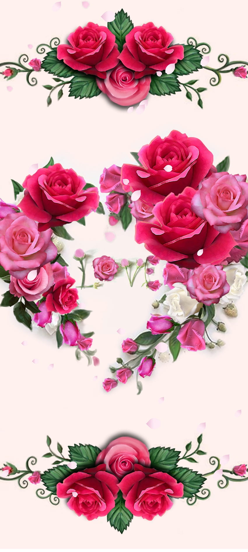 Love Rose, hybrydowa róża herbaciana, czerwona, Premium, Flowers, Romantic Tapeta na telefon HD