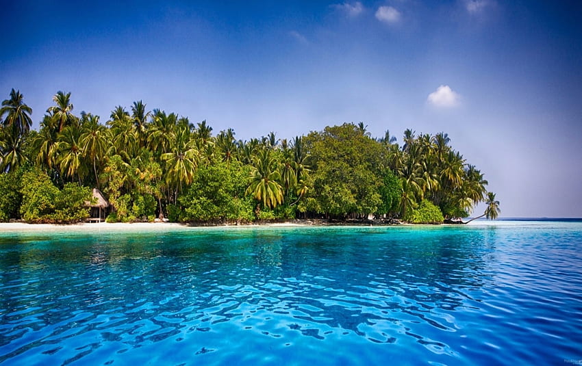 Fihalhohi Island Resort, island, sea, tropical, paradise, beautiful, beach, summer, Maldives, vacations, water, palm trees, travel HD wallpaper