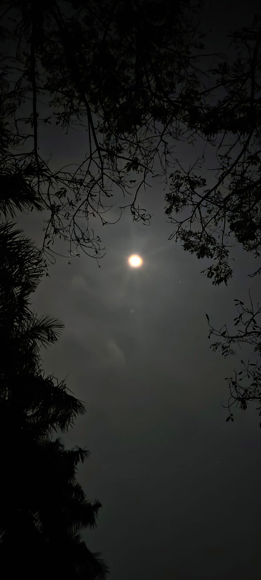 Nuit, atmosphère, iPhone, ciel, lune Fond d'écran de téléphone HD