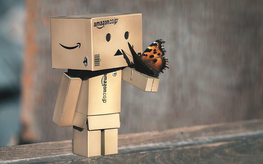 Danbo, butterfly, cardboard robot for with resolution . High Quality HD  wallpaper | Pxfuel