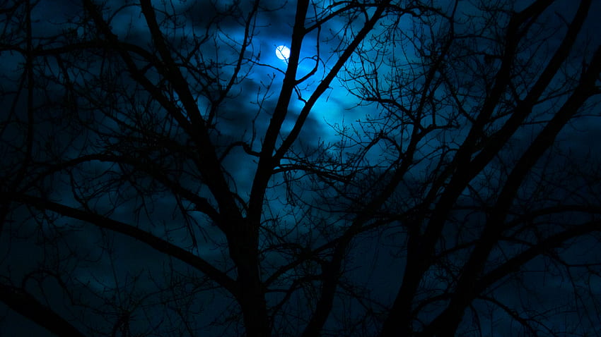 ดวงจันทร์, อื่น ๆ , , อะนิเมะ, มืด วอลล์เปเปอร์ HD