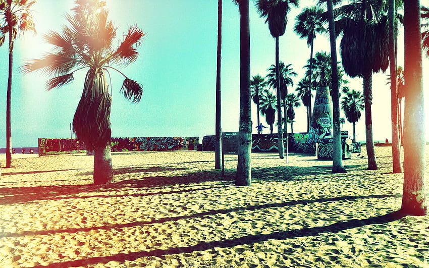 Venice Beach Hipster Backgrounds. HD wallpaper | Pxfuel