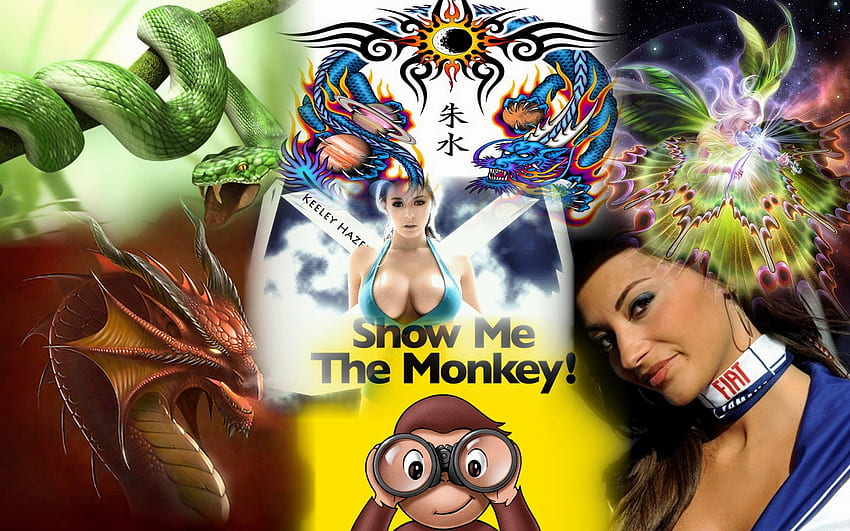 show me the monkey, show me, funny, the monkey, anime HD wallpaper