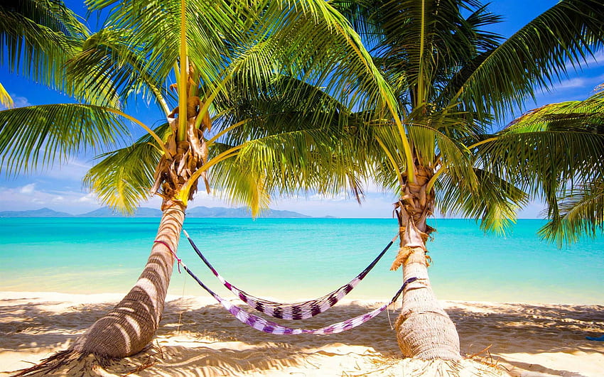Amaca da spiaggia tropicale MacBook Air , Spiagge tropicali Sfondo HD