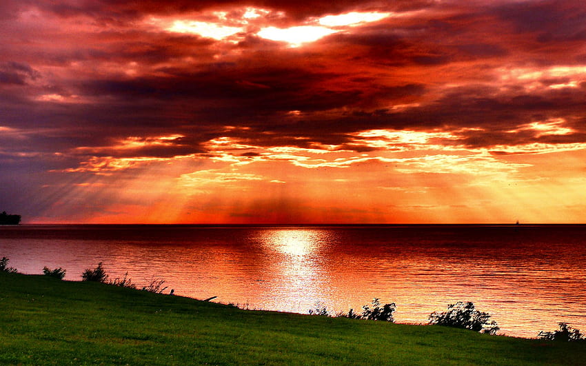 Cielo asombroso, rayos, luz solar, colores, pacífico, atardecer rojo, belleza, reflejo, asombroso, océano, atardecer, mar, hermoso, hierba, verde, rojo, vista, nubes, naturaleza, cielo, encantador, esplendor fondo de pantalla