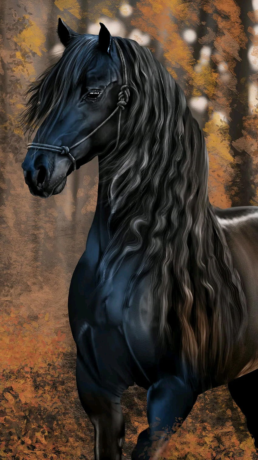 Brown and black horse HD wallpapers | Pxfuel