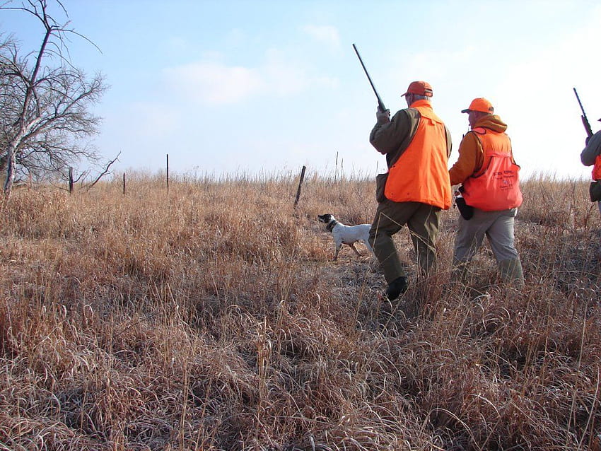 Kansas Hunting Lodge. Pheasant Hunting. Upland Bird Hunts HD wallpaper