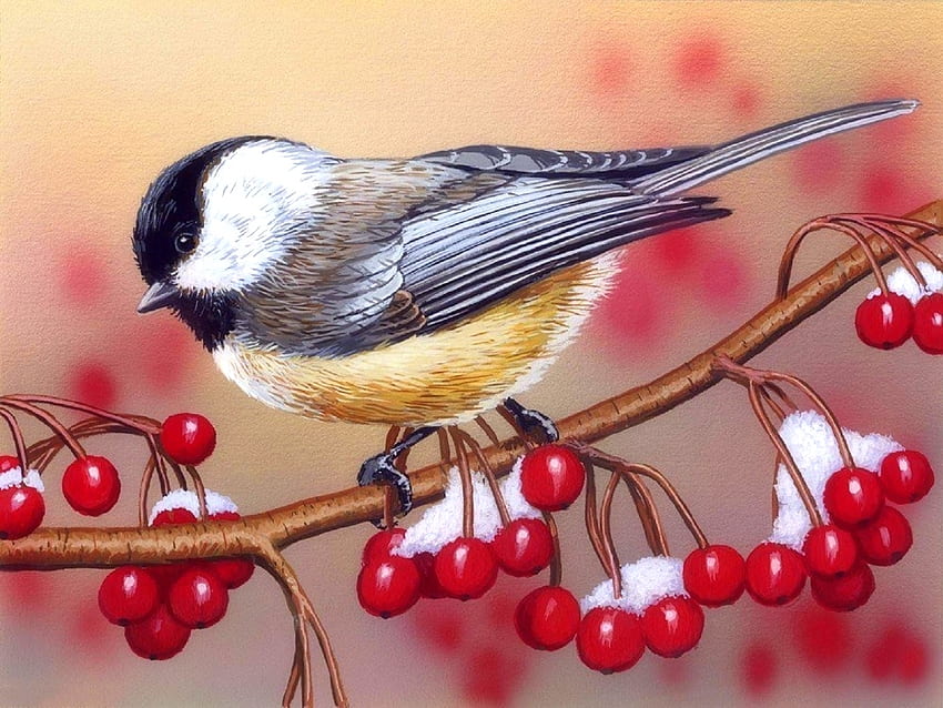 Chickadee with Berries, chapim, inverno, pássaros, bagas, pinturas, amor quatro estações, animais, neve, natureza papel de parede HD