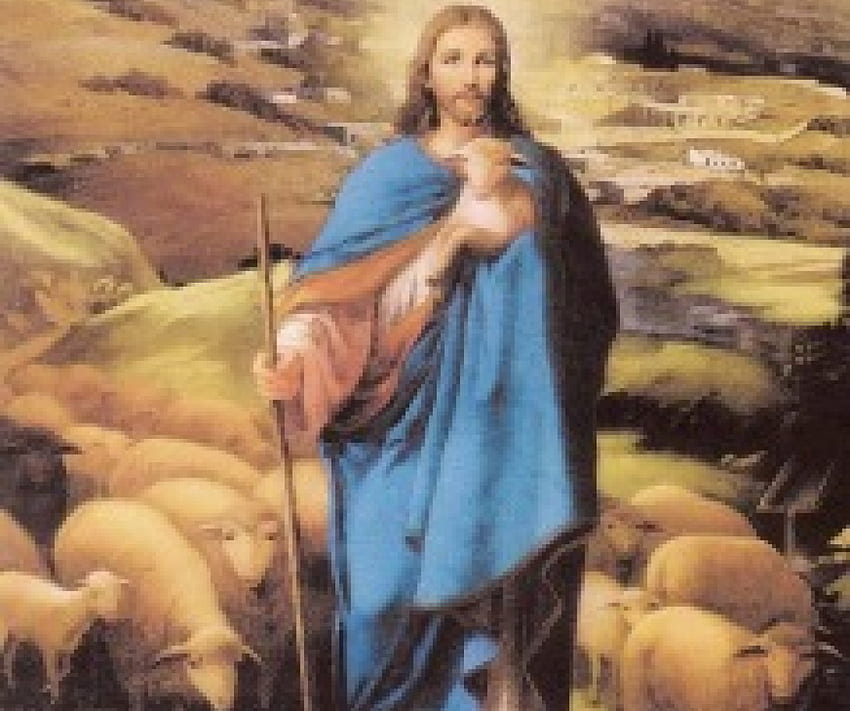 Sweel Good Shepherd İsa, aşk, koyun, isa, mesih, müjde, çoban HD duvar kağıdı