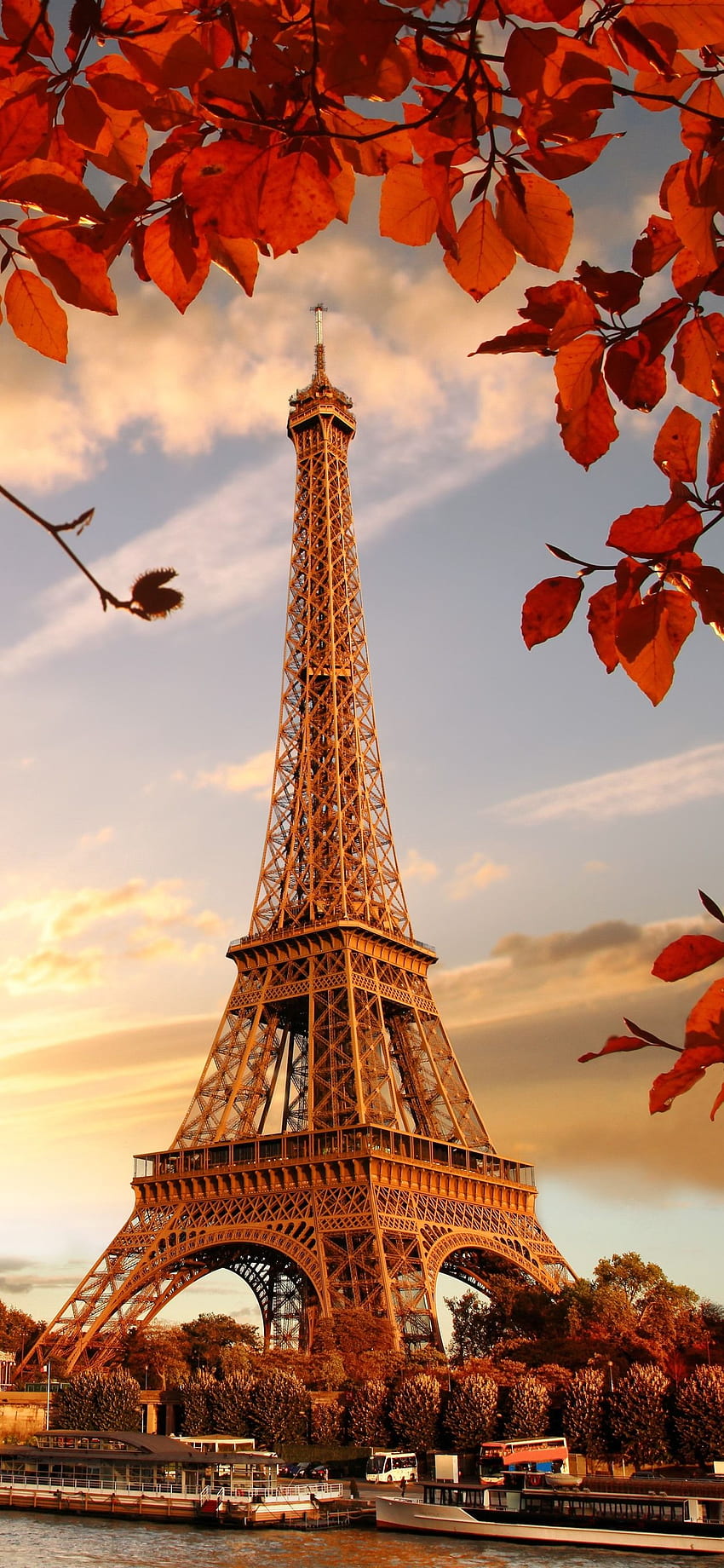 Eiffel Tower, Red Leaves, Twigs, Autumn IPhone 11 Pro XS Max , Background HD phone wallpaper